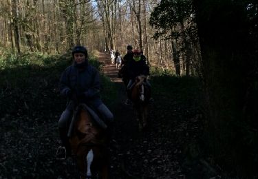 Excursión Caballo Dalhem - Bois du Roi 050114 - Photo