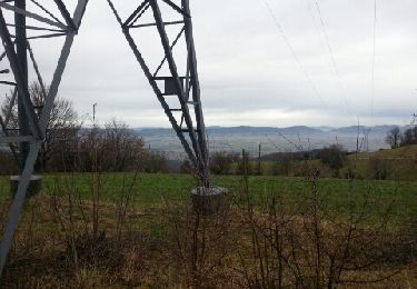 Tocht Andere activiteiten Saint-Étienne-de-Saint-Geoirs - camp de césar - Photo