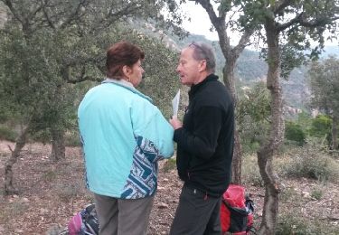 Trail Walking Fréjus - mont vinaigre - Photo