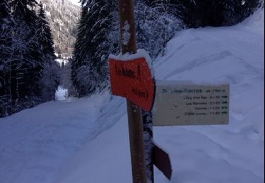 Tour Schneeschuhwandern Châtel - Pré la Joux - Linga - Photo