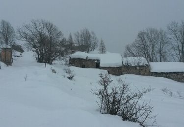 Percorso Racchette da neve Acceglio - lausetto maira  - Photo