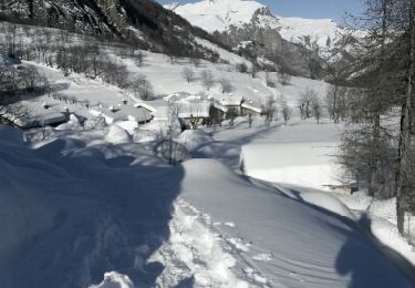 Trail Snowshoes Acceglio - chialvetta - Photo