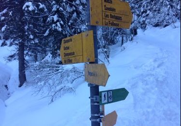Randonnée Raquettes à neige Troistorrents - La Foilleuze - Madzé - Morgins - Photo