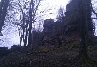 Tocht Stappen Reinhardsmunster - Billebaum Ochsenstein - Photo