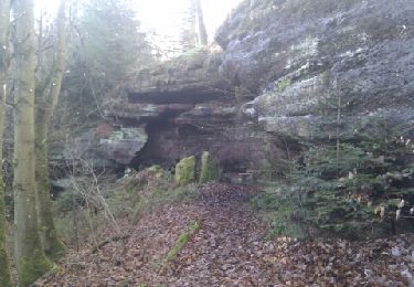 Percorso Marcia Ottersthal - Autour du col de Saverne - Photo