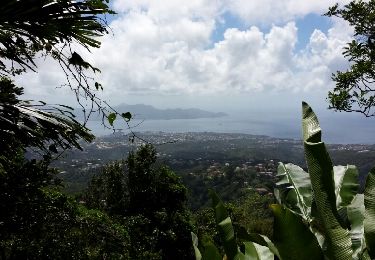 Tocht Stappen Fort-de-France - Morne - Photo