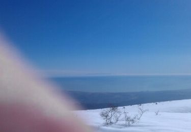 Percorso Racchette da neve Coursegoules - puy. tourette  - Photo