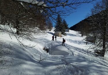 Trail Snowshoes Melles - Melles - Photo