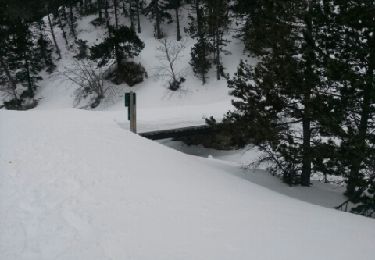 Tour Schneeschuhwandern La Llagonne - tour des lacs - Photo