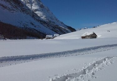 Percorso Racchette da neve Cervières - Cervieres - Route des Fonds - Photo