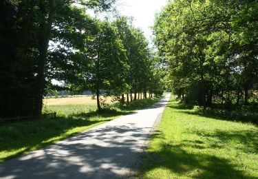 Trail Walking Havelange - HAVELANGE- Porcheresse- Promenade du Champ du Bois - Photo