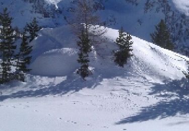 Percorso Racchette da neve San Martino Lantosca - lac du boreon refuge de la cougourde  - Photo
