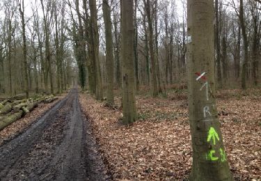 Trail Walking Mons - Bout de GR 21-02-2014-01 - Photo