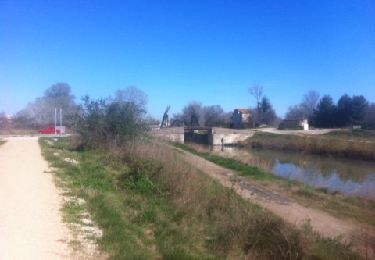 Percorso Corsa a piedi Arles - barriol_1 - Photo