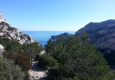 Tocht Stappen Marseille - calangue de Morgiou - Photo