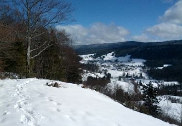 Excursión Raquetas de nieve Bellefontaine - Bellefontaine - Combe les Marais (Morbier) - Photo