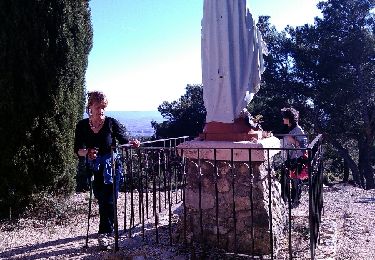 Tour Wandern Caromb - caromb - rocher de la madeleine - Photo