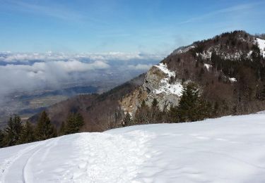 Excursión Raquetas de nieve Arith - Arith - Photo