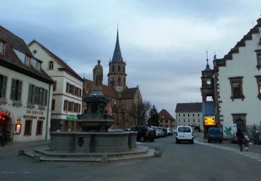Tour Wandern Sulz/Oberelsass - Soultz - Photo