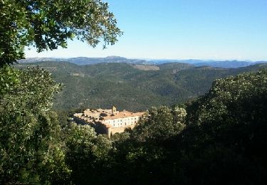 Excursión Bici de montaña Collobrières - La Verne-Lambert - Photo