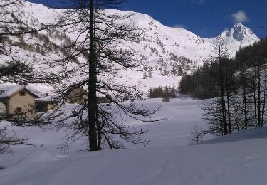 Randonnée Autre activité Abriès-Ristolas - pelvas - Photo