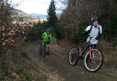 Trail Mountain bike Saint-Didier-sur-Beaujeu - claveisolles mars - Photo