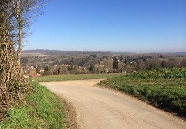 Trail Walking Oinville-sur-Montcient - Oinville sur Moncient - Photo