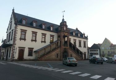 Excursión Senderismo Soultz-Haut-Rhin - Thierenbach - Photo