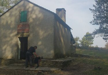 Excursión Senderismo Rosis - caroux  - Photo