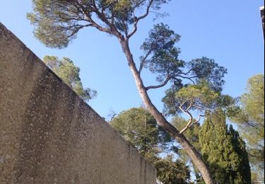 Percorso Marcia Prades-le-Lez - balade autour du château de Restinclieres - Photo