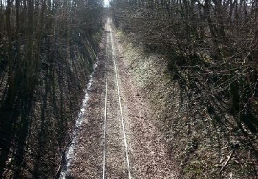 Trail Walking Guérigny - guerigny 2 - Photo