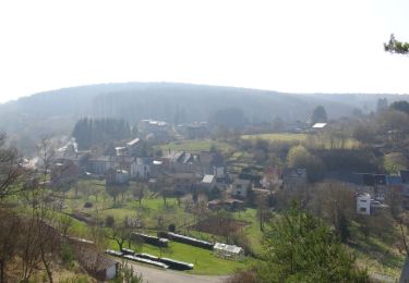 Tour Wandern Couvin - Balade à Petigny - Photo