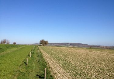 Randonnée Marche Heuvelland - Nieuwkerke-zwarte Molenhoek - Photo