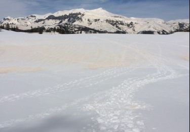 Tour Schneeschuhwandern Beuil -  balade raquette (beuil les launes) - Photo