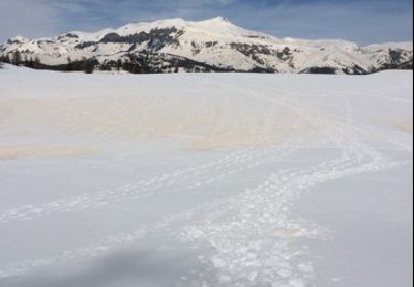 Randonnée Raquettes à neige Beuil -  balade raquette (beuil les launes) - Photo