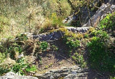 Trail Walking Saint-Philbert-sur-Orne - Autour des roches d'oetre - Photo