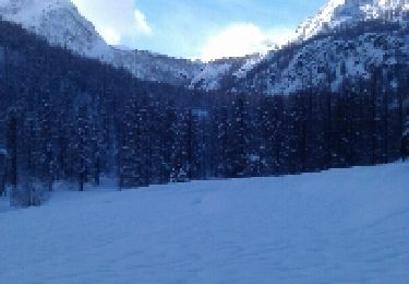 Percorso Racchette da neve Tenda - vallons de la minière  - Photo