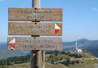 Randonnée Marche Mijoux - LA FAUCILLE : les deux Monts-Ronds    - Photo
