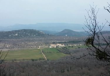 Tour Wandern Plan-d'Aups-Sainte-Baume - ste baume - Photo