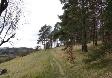Trail Walking Viroinval - Balade à Vierves-sur-Viroin - Photo