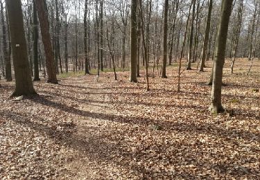 Trail Walking Neupré -  Plainevaux : promenade du ruisseau 2,4 Km - Photo