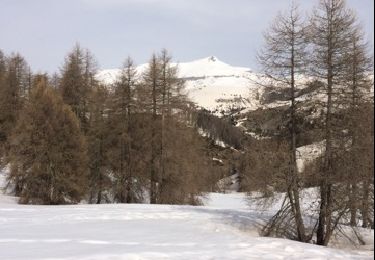 Trail Snowshoes Roubion - col de la couillole - Photo