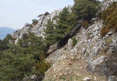 Trail Walking Duranus - Cime de Roccassièra depuis l'Engarvin - Photo