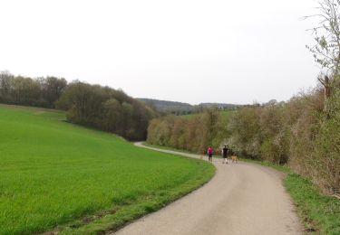 Trail Walking Walcourt - Marche Adeps à Chastrès - Photo