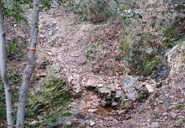 Tour Wandern Loubaresse - Tanargue jour 2 - Photo