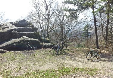 Tocht Mountainbike Tence - tour roche druidique - Photo