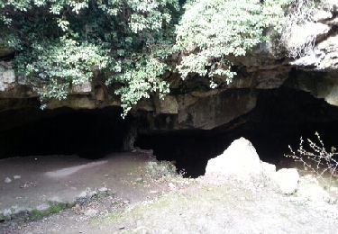 Tocht Stappen Signes - grotte du mounoi signes - Photo