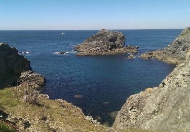 Randonnée Marche Sauzon - sauzon pointe des poulains - Photo