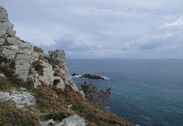 Trail Walking Crozon - a la grange ile vierge - Photo