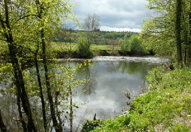 Excursión Senderismo Rochefort - Promenade de la chasse royale - Photo